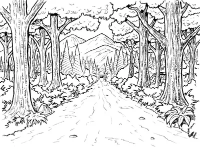 Раскраски лес, Раскраска Осенний лес Времена года.