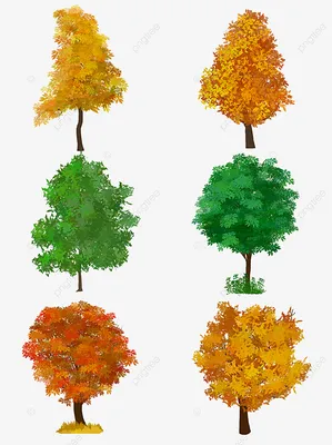 Раскраски Деревья без листьев | Искусство работы с деревом, Раскраски,  Осенние поделки
