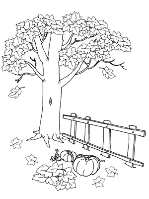 Рисование с детьми 5–6 лет «Осенние деревья» (1 фото). Воспитателям детских  садов, школьным учителям и педагогам - Маам.ру