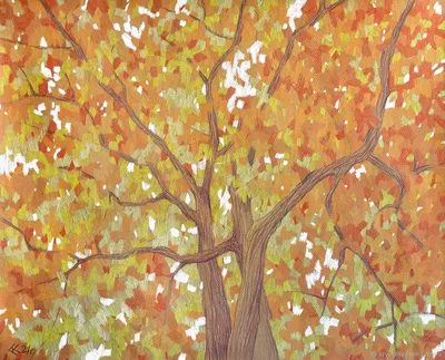 Раскраска «Осенний лес»