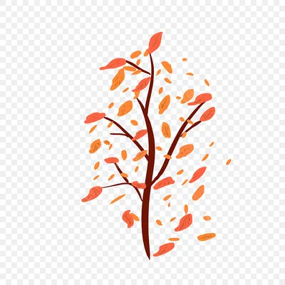 Раскраска листья деревьев