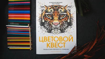 RA128 Гармония весны Раскраска по номерам на холсте Живопись по номерам  40х50 см недорого купить в интернет магазине в Москве и СПб, цена, отзывы,  фото