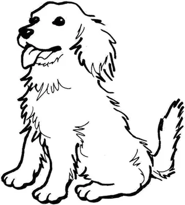 Картинка щенок раскраска - 78 фото