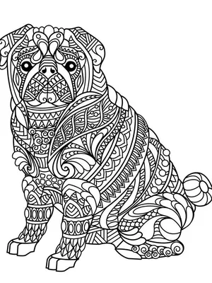 Раскраски собаки большие и маленькие (46 фото) » Картинки, раскраски и  трафареты для всех - Klev.CLUB