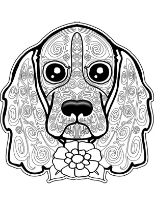 Раскраски Собаки Антистресс распечатать бесплатно в формате А4 (17  картинок) | RaskraskA4.ru