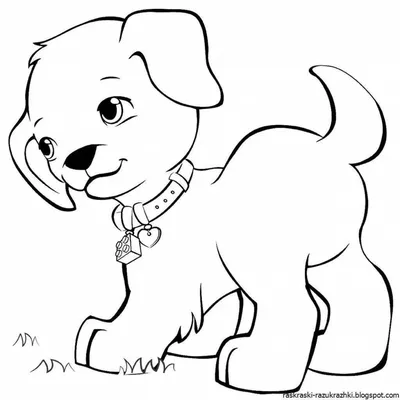 Нарисовать Собаку Карандашом Для Детей Легко (49 Фото)
