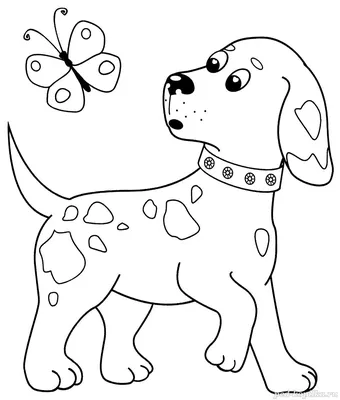 Рисунок Собаки Карандашом Для Детей (55 Фото)
