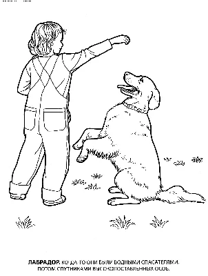 Раскраска собаки распечатать на листе A4 для детей | RaskraskA4.ru