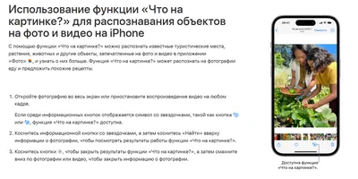 Как скопировать текст с фото на телефонах iPhone и Android - ТопНомер.ру