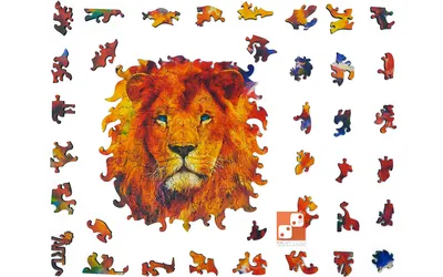 Книга Мозаика-Синтез Разноцветный Зоопарк, лев - купить развивающие книги  для детей в интернет-магазинах, цены на Мегамаркет |