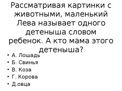 Деревянный пазл \"Лев\" 35х27 см STONEFORD, 205 деталей / фигурный в подарок  - купить с доставкой по выгодным ценам в интернет-магазине OZON (232466808)