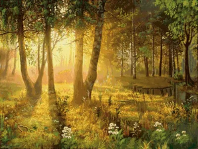 Стихотворение «Рассвет в лесу», поэт Хрони Анастасия