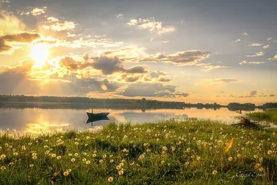 Рассвет в поле лаванды. Фотограф Дмитренко Екатерина