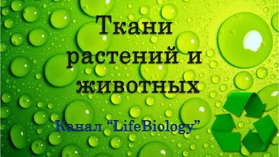 Издана новая Красная книга растений и животных Красноярского края