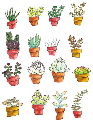 Рисунки растений для срисовки - 25 фото