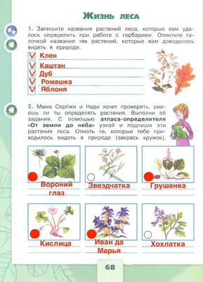 5—1. Экологические группы растений по отношению к световому режиму среды  обитания