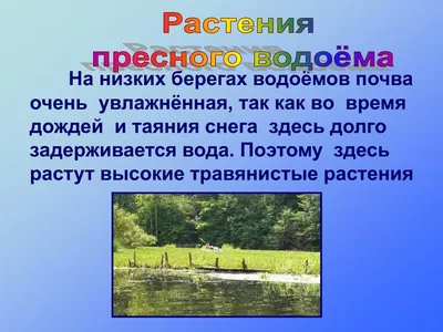 Страница 83 — ГДЗ по Окружающему миру для 4 класса Рабочая тетрадь Плешаков  А.А. Часть 1. - ГДЗ РЕД