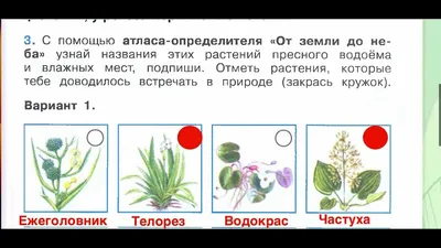 Окружающий мир. Жизнь пресного водоема. 1-4 классы: Таблица-плакат 420х297  – купить по цене: 28,80 руб. в интернет-магазине УчМаг