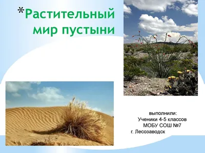 Calaméo - Презентация \"Растительный мир пустыни\"
