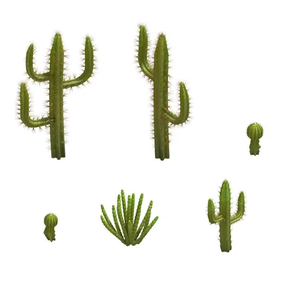 Алоэ Растения Пустыни Кактус - Бесплатное фото на Pixabay - Pixabay