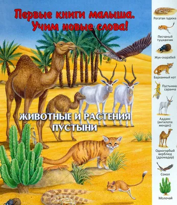 Животные и растения пустыни - купить с доставкой по выгодным ценам в  интернет-магазине OZON (1253632970)