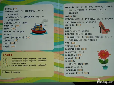 Иллюстрация 6 из 6 для Фонетический разбор и произношение слов. Для  начальной школы | Лабиринт - книги.