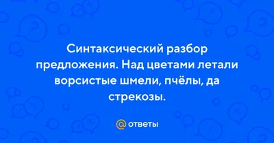 https://restorator.chef.ru/tpost/c86bol2981-fud-trendi-2024-ochen-bolshoi-razbor