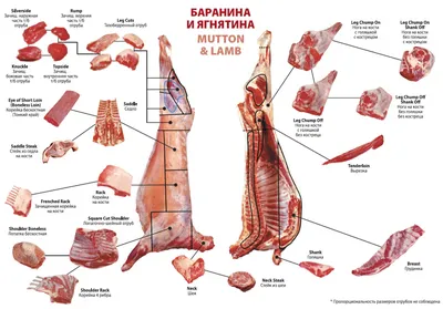 Все о стейках | Page 7