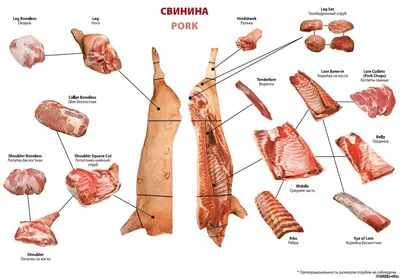 Комплект плакатов «Механическая кулинарная обработка продуктов» 20  плакатов, 59х84 см, А1, двухстороннее ламинирование - Компания ПАРТНЕР |  Купить выгодно. Короткие сроки отгрузки, наличие, гарантия, по 465 и 590  приказу. Доставка по России. Производство