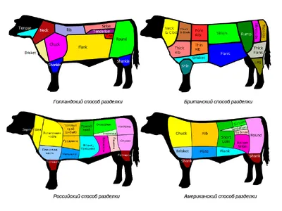 Разделка туши говядины и особенности кусков разруба. | ВКонтакте