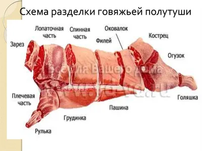 Разделка мяса. Справочник | Белорусский продовольственный  торгово-промышленный портал