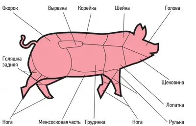 Продам: говядина фермерская разделка,туши в Санкт-Петербурге