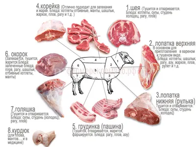 Фермерское мясо купить в СПб с доставкой на дом, недорого