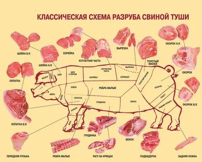Boszhan мясная продукция - Разделка туши это неотъемлемая и очень важная  часть в производстве мяса!! Ведь каждый хочет получить, аккуратный,  красивый и чистый кусок мяса🥩! И, казалось бы, с таким типом работ,