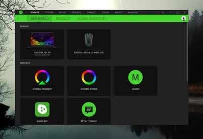 Razer Services | Gold, Silver, RazerCare, Razer ID, and more | Razer United  States