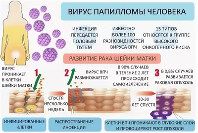 ВАКЦИНАЦИЯ ОТ ГРИППА - gb2mgn74.ru