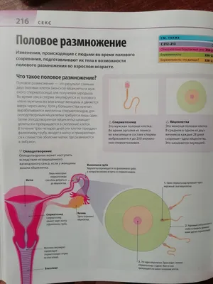 Гельмифлор: эффективное средство против паразитов купить по цене 1168 ₽ в  Москве на PromPortal.Su (ID#50834259)