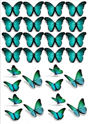 Вафельная картинка Бабочки разные | Съедобные картинки Розовые бабочки |  Бабочки разные Формат А4 (ID#1376860188), цена: 70 ₴, купить на Prom.ua