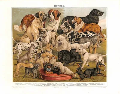 Фигурки-игрушки домашних животных «Собаки разных пород» 9823 Pets 6-8 см. /  8 шт.