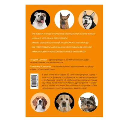 Картинка Собаки разных пород » Собаки » Животные » Картинки 24 - скачать  картинки бесплатно