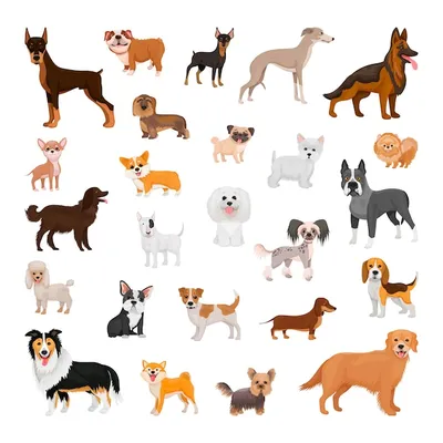 Коллекция собак разных пород | Премиум векторы