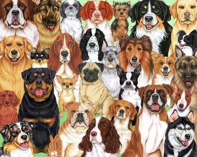 Картинки и фотографии щенков разных пород собак