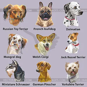 Щенки, собаки разных пород для любви и обожания!/Puppies, dogs. | Facebook