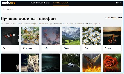 Walli Wallpapers — обои на телефон для каждого - AndroidInsider.ru