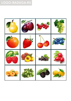 Книга \"Разрезные элементы\" 5-в-1 Овощи, фрукты и ягоды, 10 страниц - ТД  Трианон - бытовая химия и товары от производителей в Новосибирске