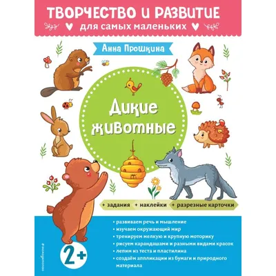 Детский сад комбинированного вида №7 г. Тобольска | Новости