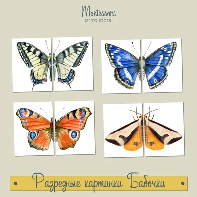 Разрезные картинки бабочки - карточки Монтессори купить и скачать
