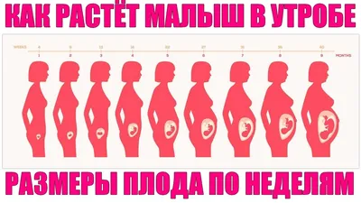 РАЗМЕРЫ ПЛОДА ПО НЕДЕЛЯМ БЕРЕМЕННОСТИ | Вес плода с 1 по 40 недели  беременности - YouTube