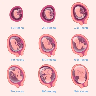 Врач на Камчатке: вредные привычки влияют на репродуктивное здоровье и  будущее потомство