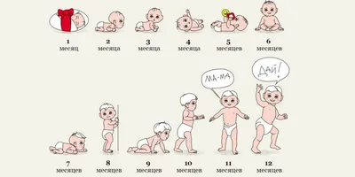 Развитие ребенка от 1 года до 2 лет – этапы развития малыша от года до двух  лет - agulife.ru